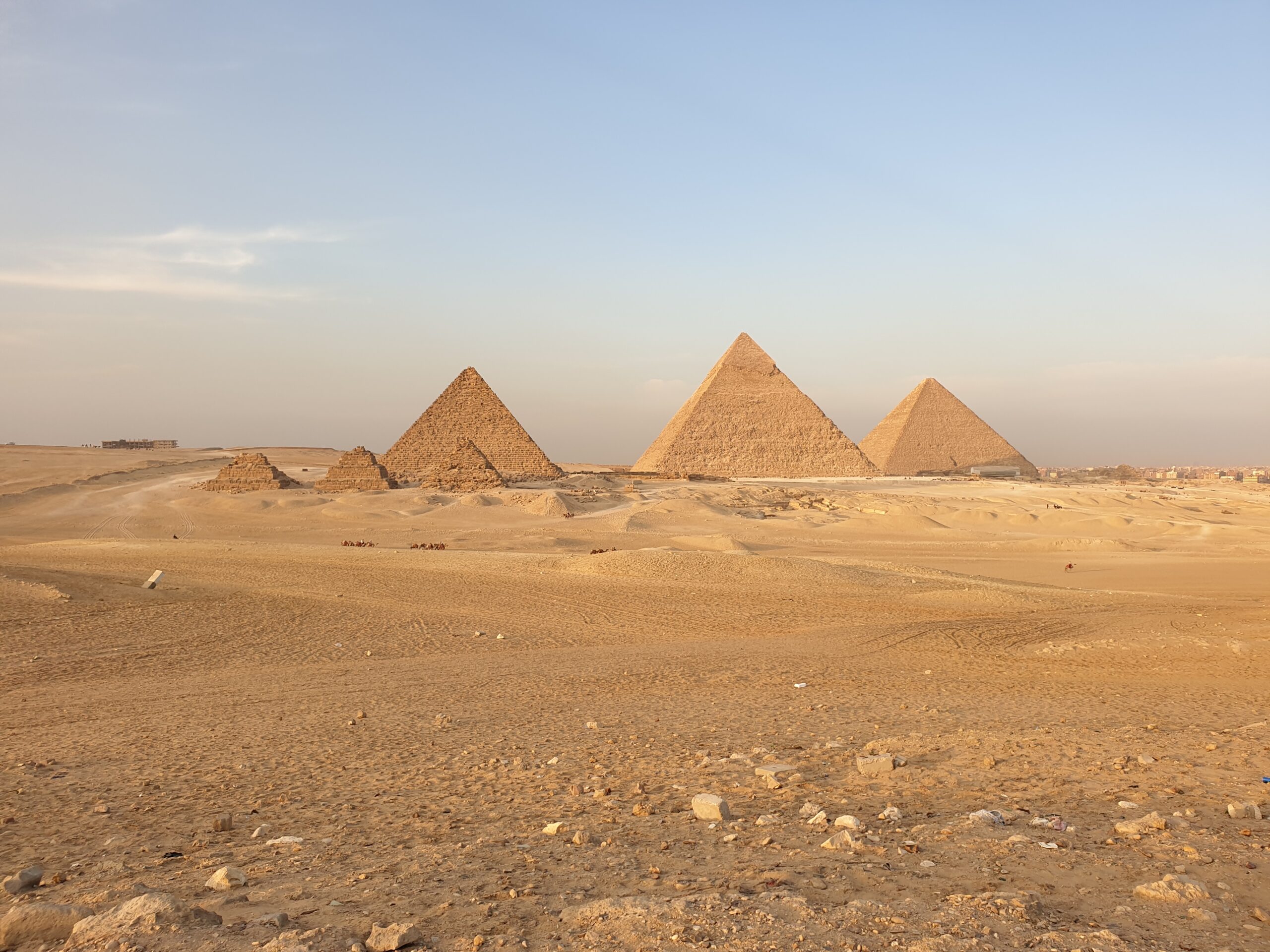 Treasures of The Nile PLUS