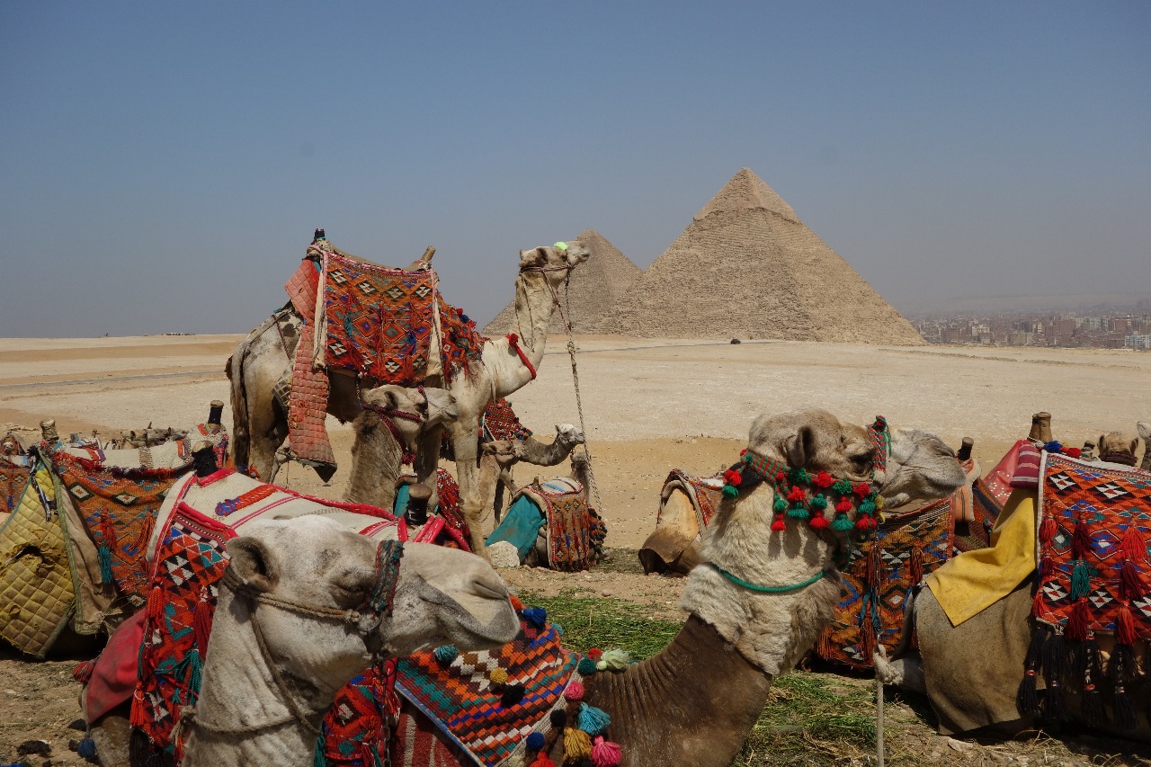 Ancient Civilization (Egypt, Jordan, Jerusalem)