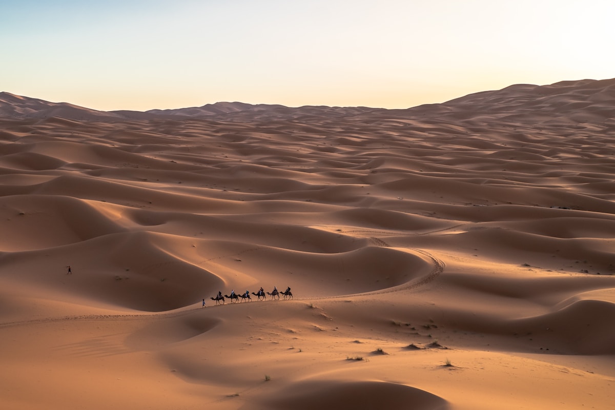 The Best of Riyadh, Ula & Jeddah